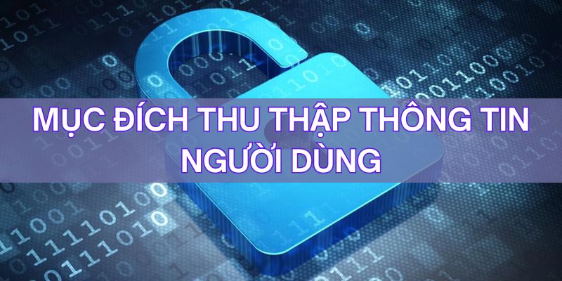Mục đích thu thập thông tin tại trang web bạn nên biết