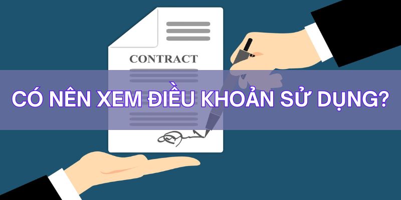 Tại sao trang web cần thiết lập điều khoản sử dụng LuongSonTV?